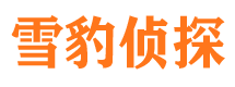 双桥市侦探调查公司